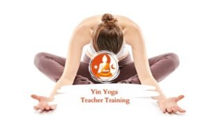 Yin Yoga Teacher Training